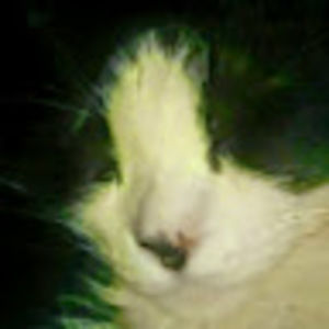 Meet your Posher, Lynn